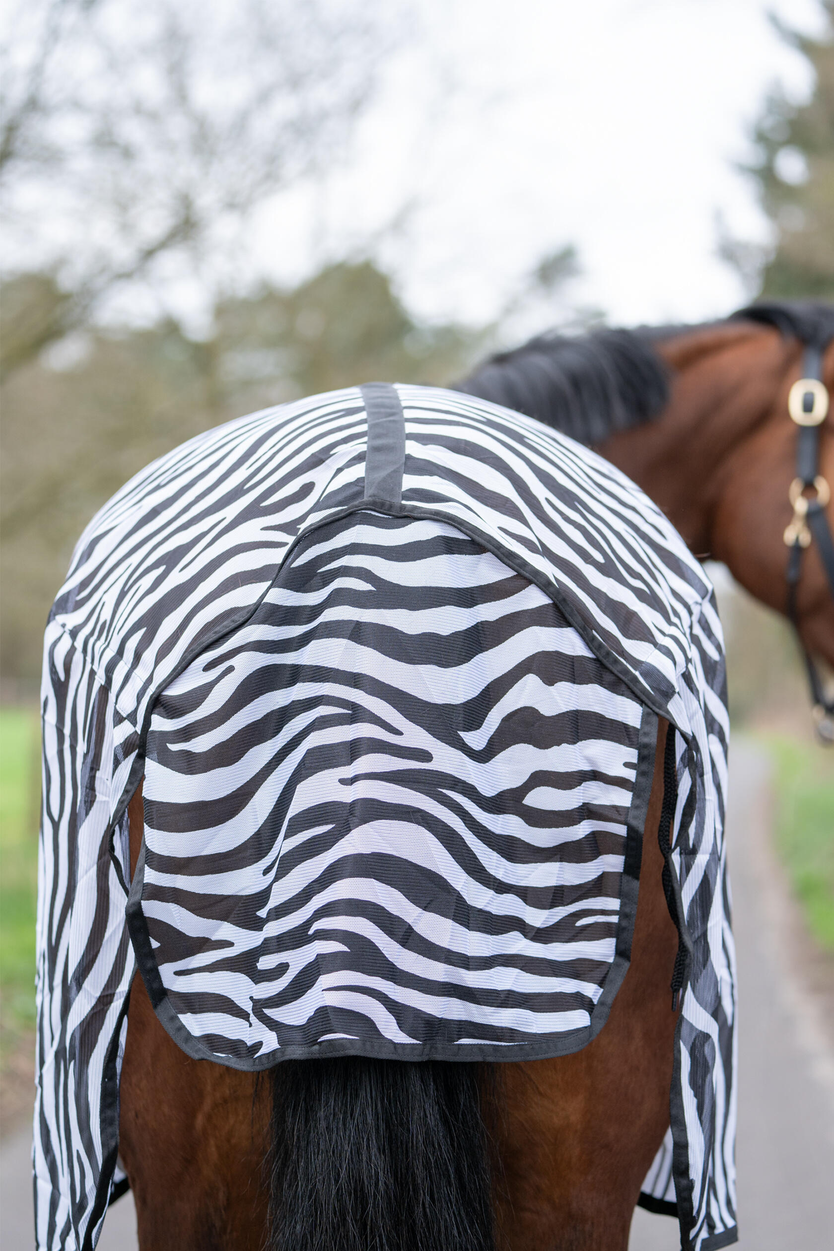 Fliegendecke mit Kreuzgurt ZEBRA schwarz/weiß 6/7