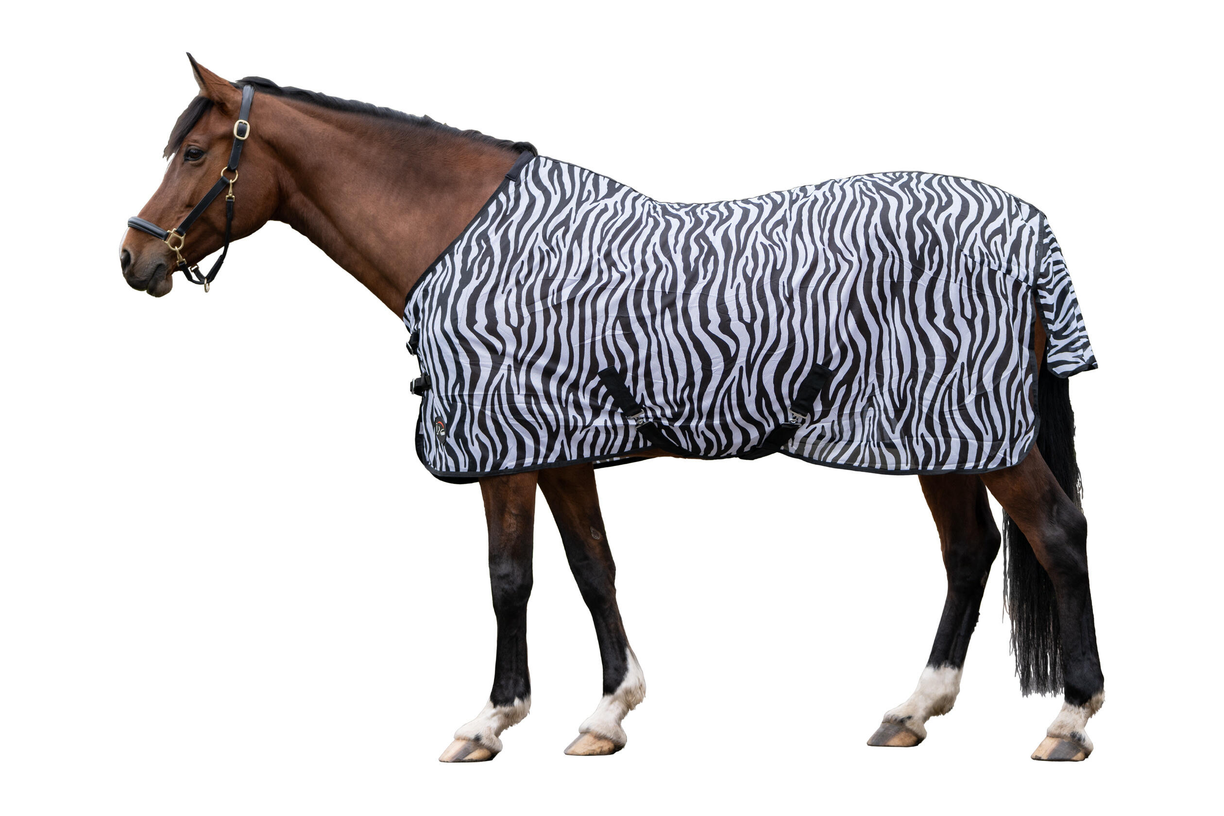 Fliegendecke mit Kreuzgurt ZEBRA schwarz/weiß 2/7