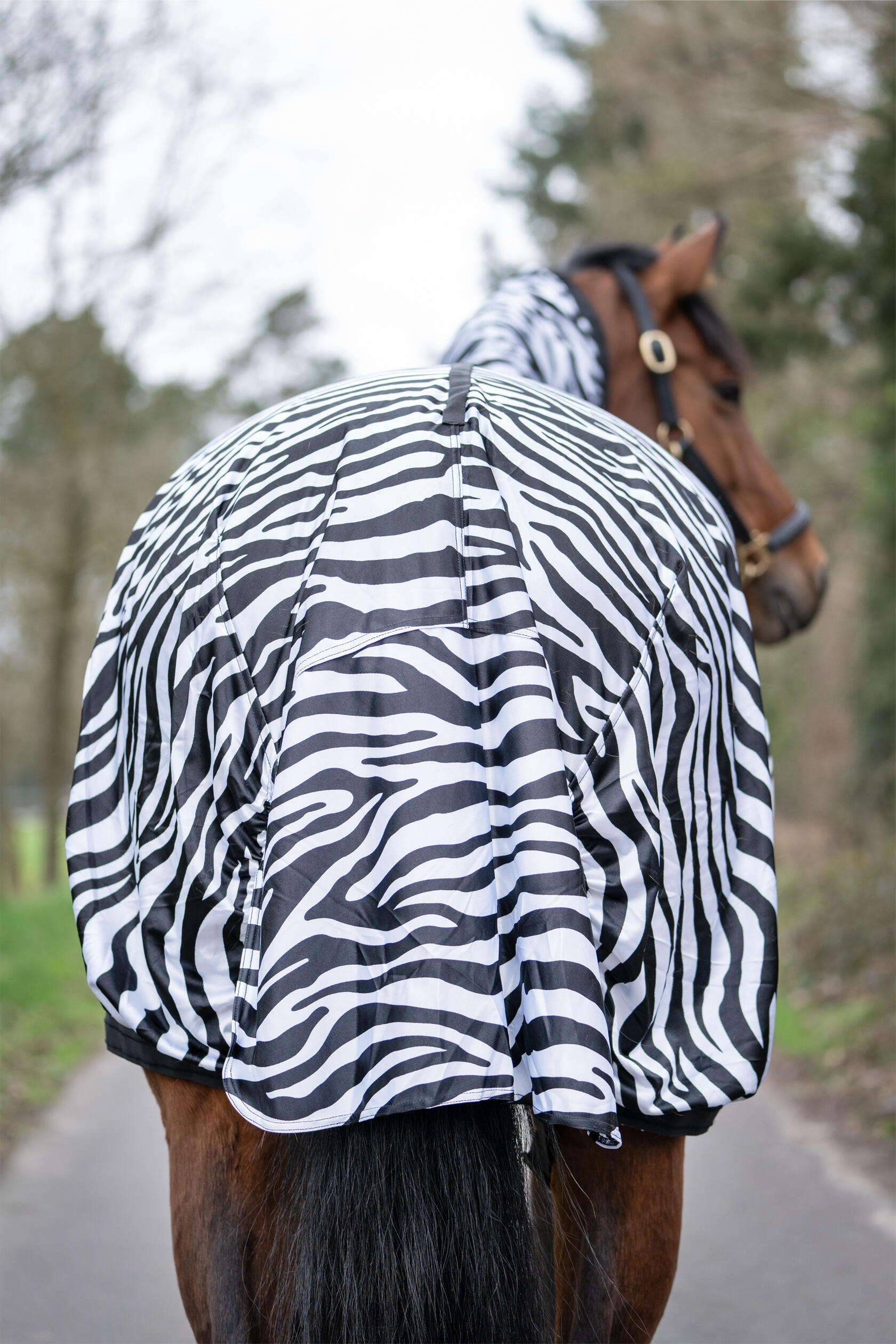 Dečka pro koně proti ekzému HKM Zebra 6/7