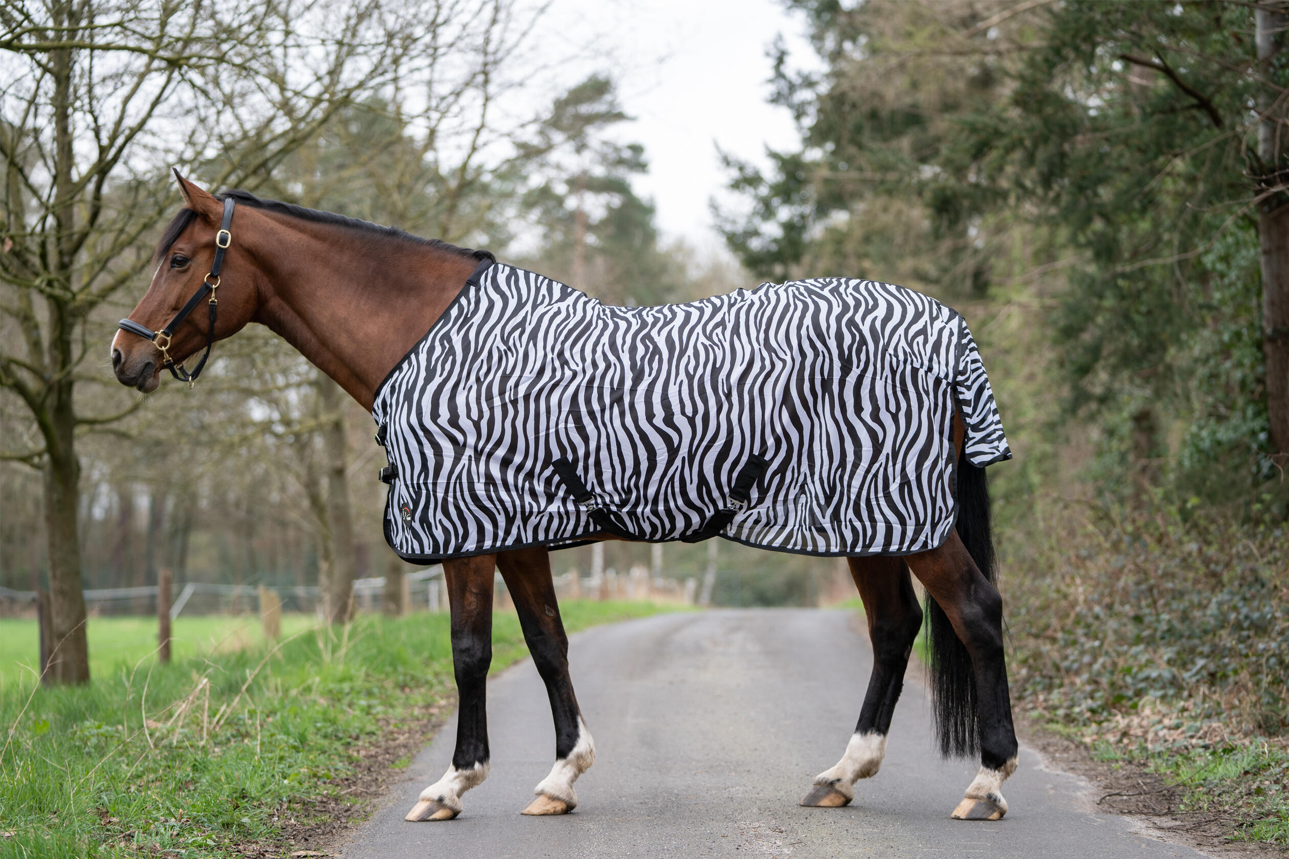 Fliegendecke mit Kreuzgurt ZEBRA schwarz/weiß 4/7