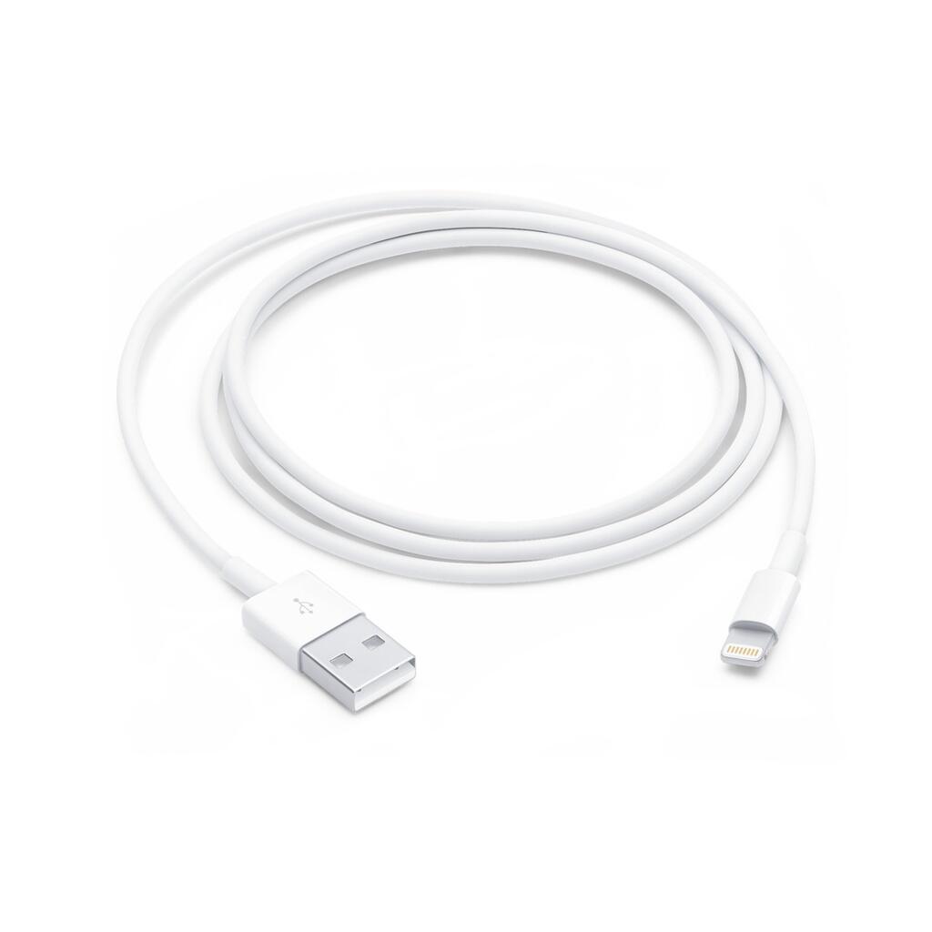 APPLE picture