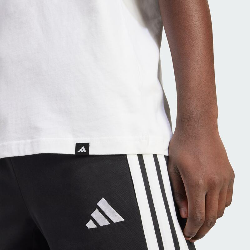 Koszulka z grafiką Pennant Trim