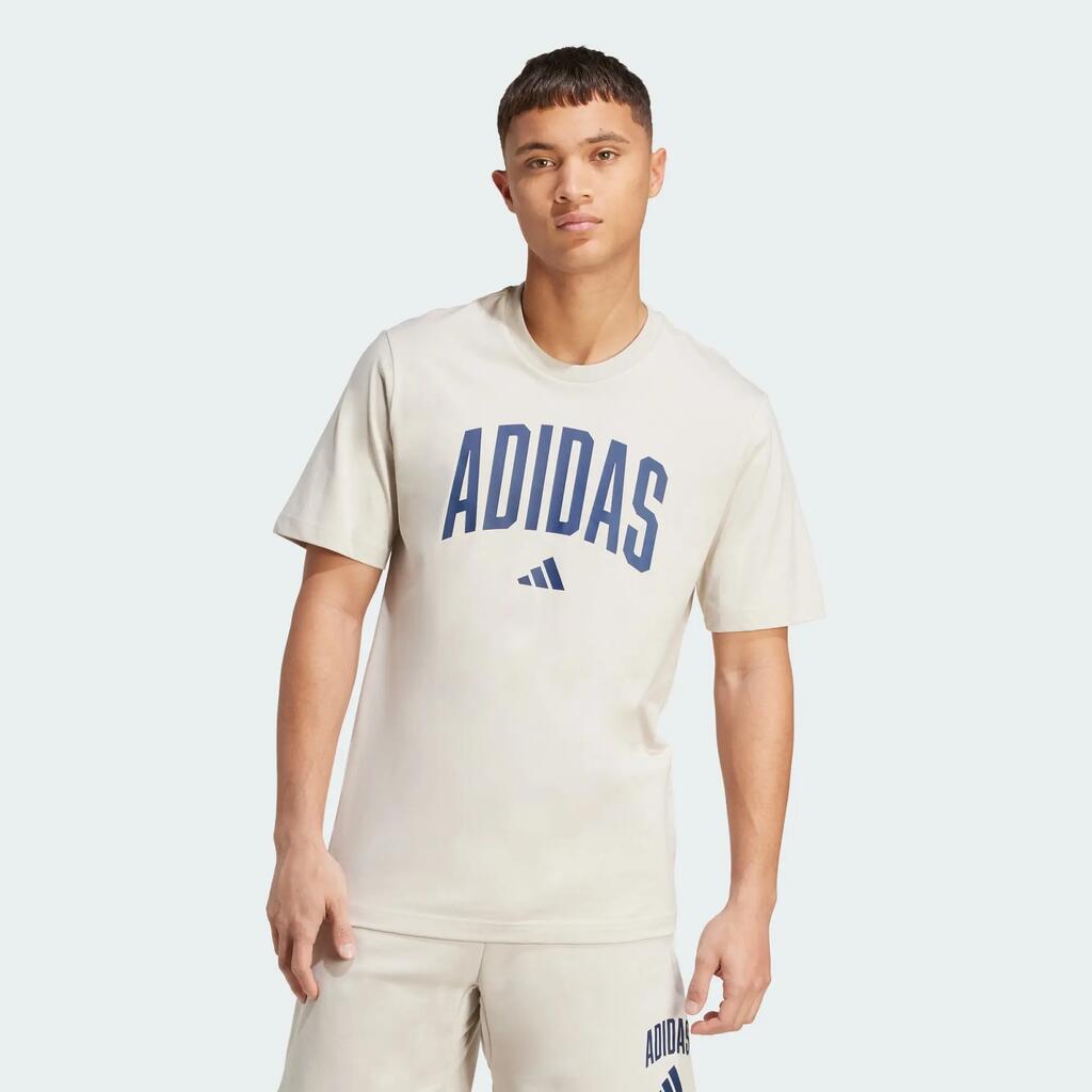 Collegiate Lineage Graphic Tee