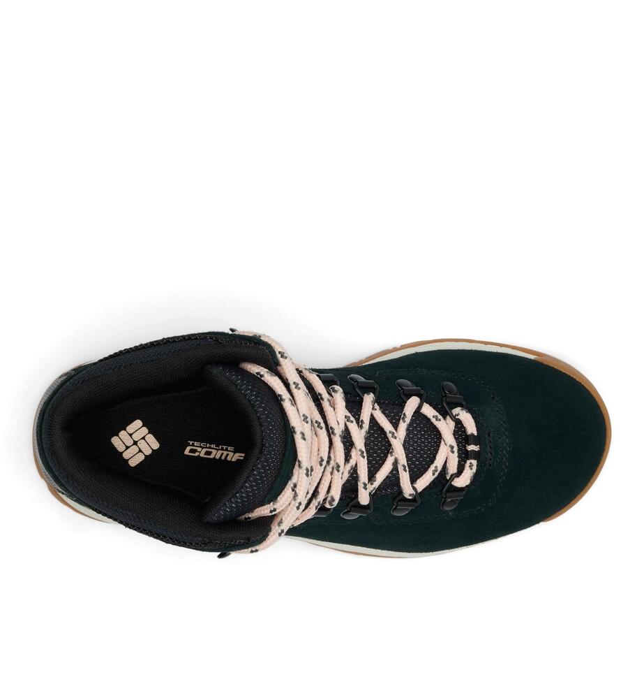Buty trekkingowe damskie Columbia Newton Ridge Plus WP Amped