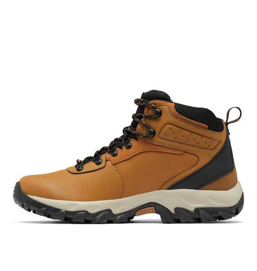 Bottes Homme Columbia Newton Ridge Plus II Waterproof brun