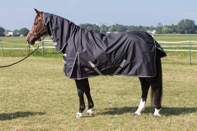 Harry's horse regendeken thor met hals