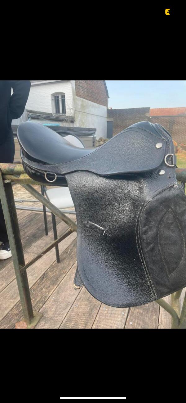 Entre Particuliers - Selle equitation, petite taille 5/5