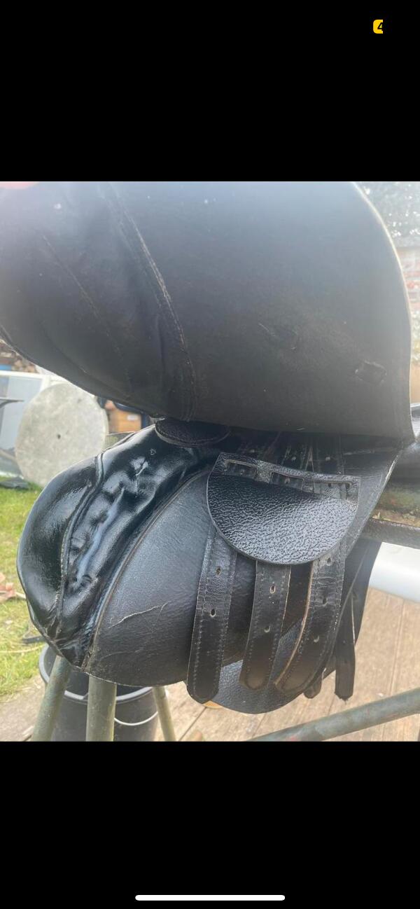 Entre Particuliers - Selle equitation, petite taille 3/5