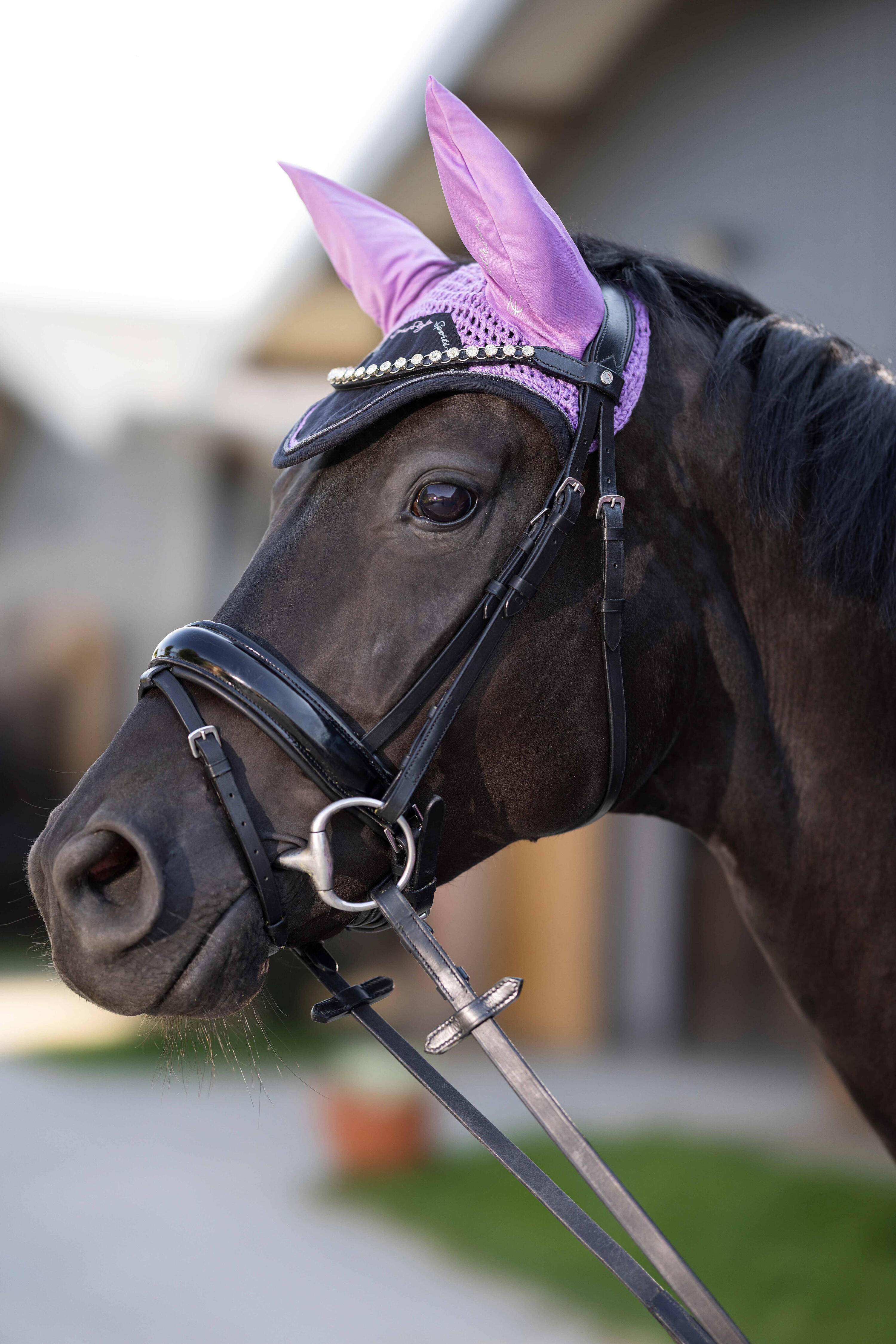 Fliegenhaube HARBOUR ISLAND helllila 3/3