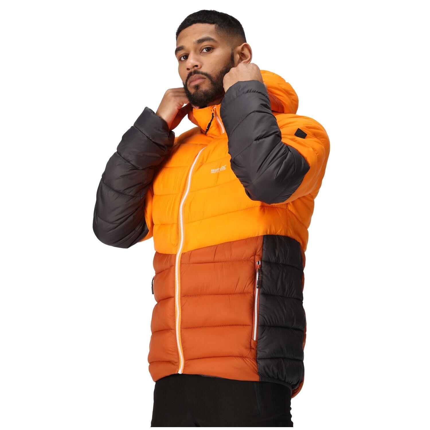 Regatta Harrock II Steppjacke / Winterjacke Herren mit Kapuze 5/7