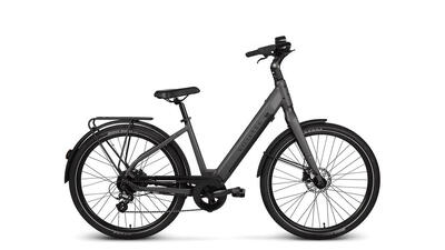 Elektrische stadsfiets extreme rm 13.5