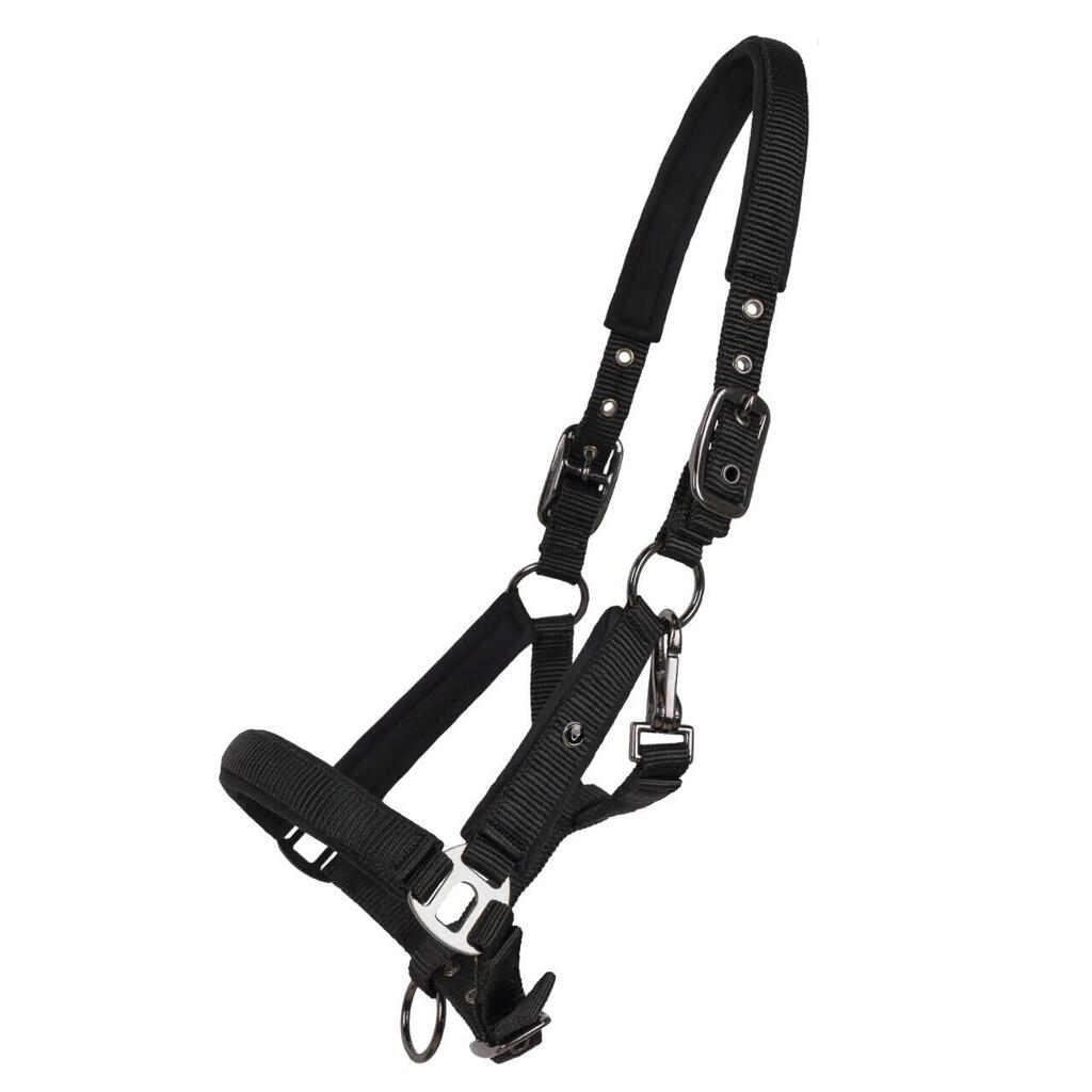 Halter for horse QHP Deluxe