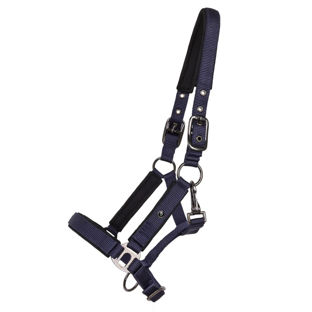 Qhp - Licol Pour Cheval Qhp Deluxe - Licol - Bleu - Ps - Decathlon