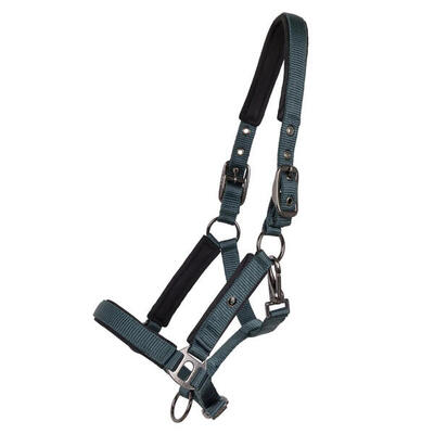 Halster voor paarden qhp deluxe