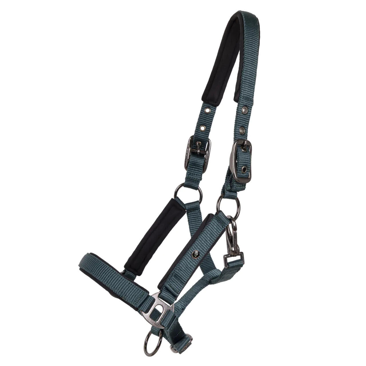 Qhp - Licol Pour Cheval Qhp Deluxe - Licol - Vert - Fs - Decathlon