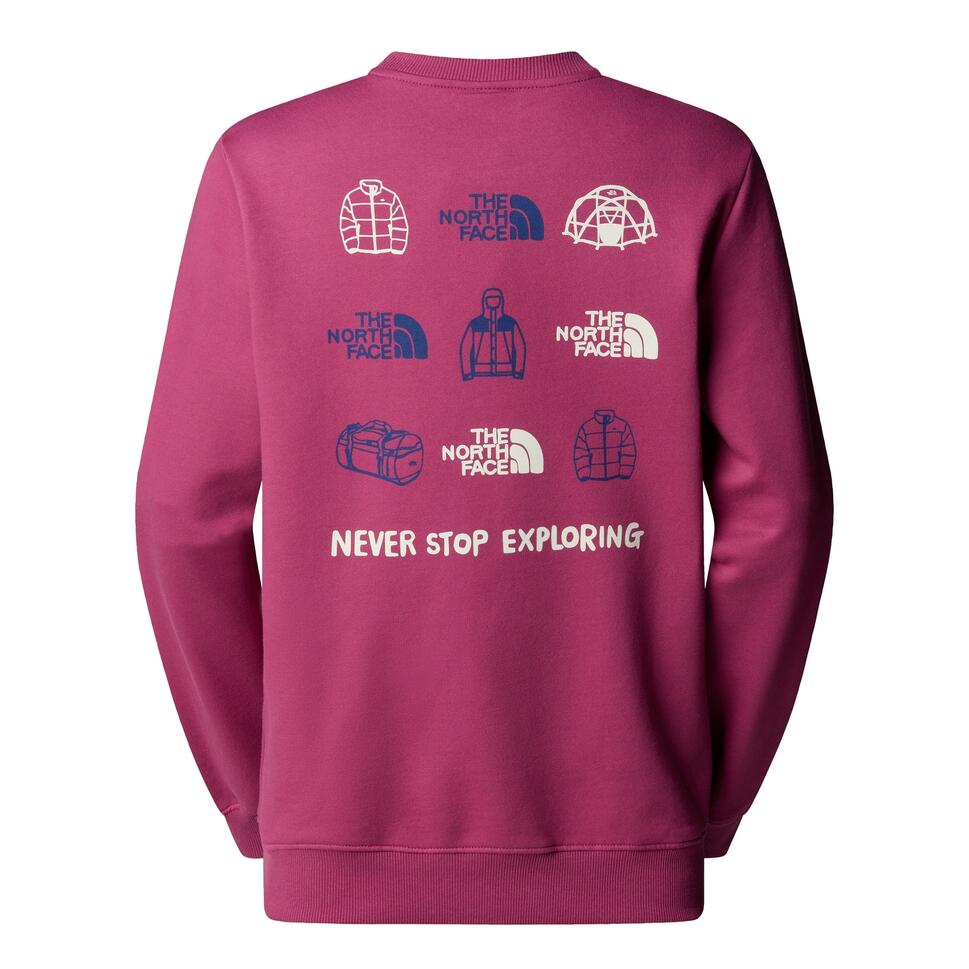 Bluza The North Face Outdoor Graphic