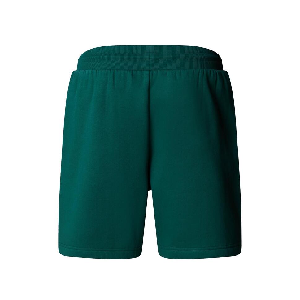 Spodenki sportowe męskie The North Face Box Nse Regular