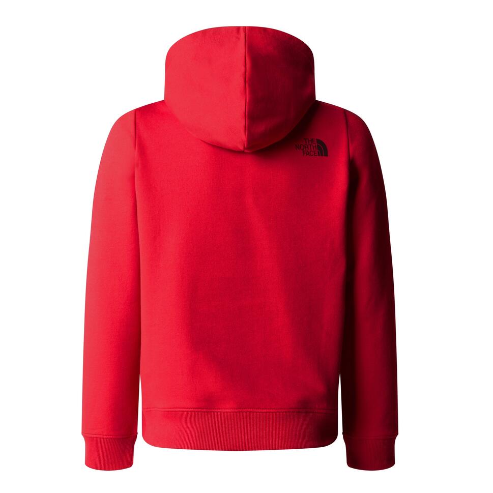 Bluza The North Face Topographic Regular