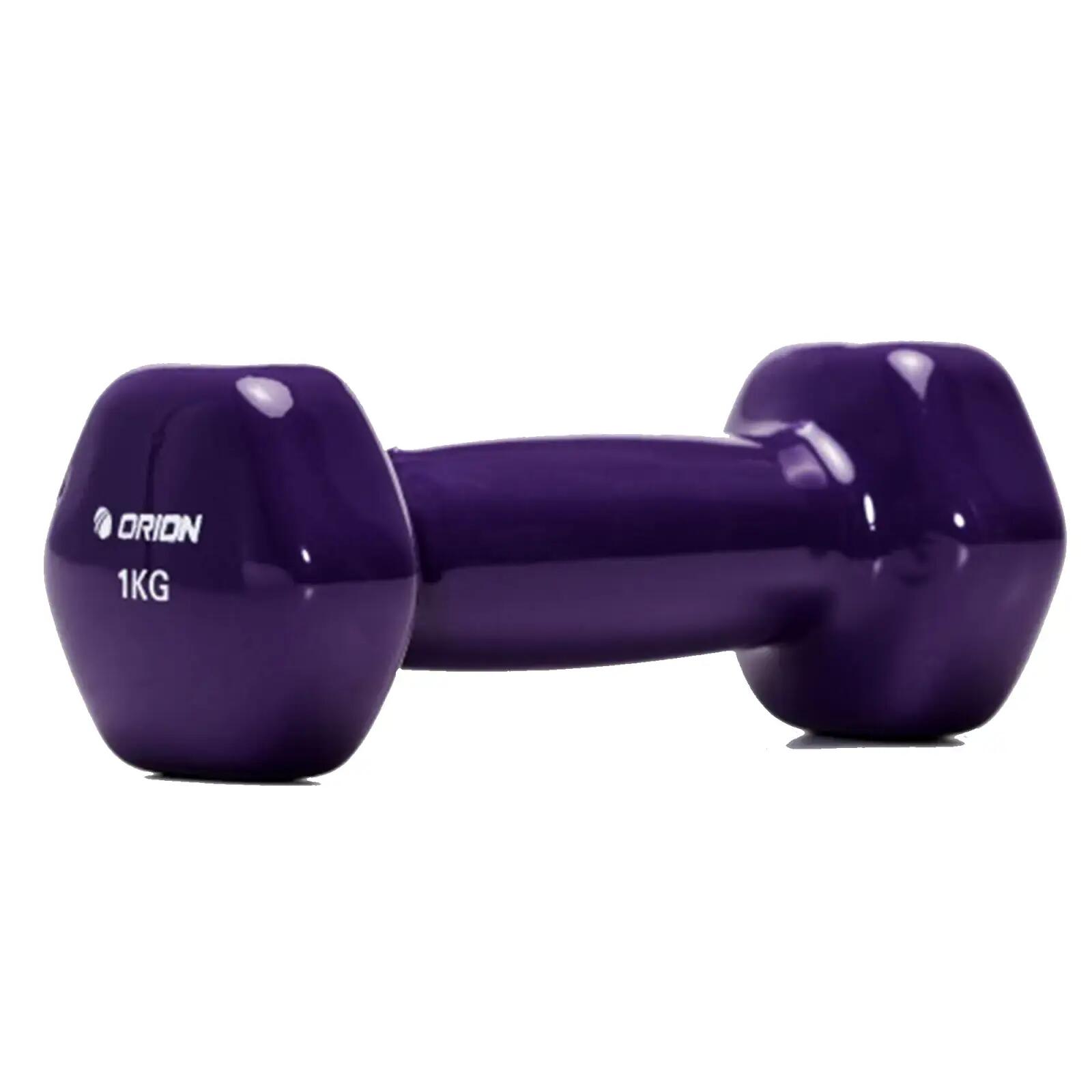 ORION FITNESS picture