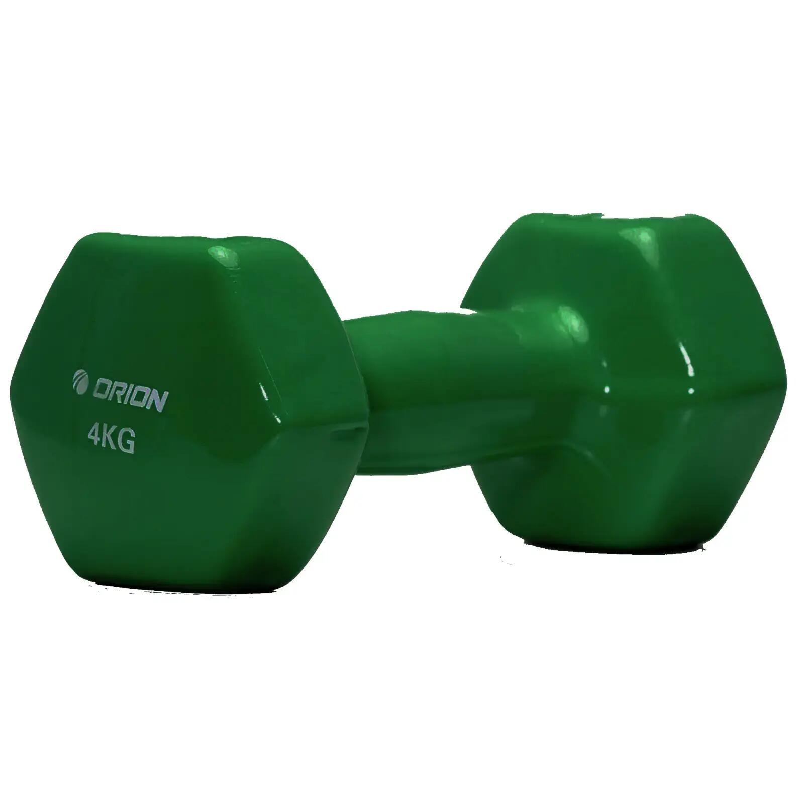 ORION FITNESS picture