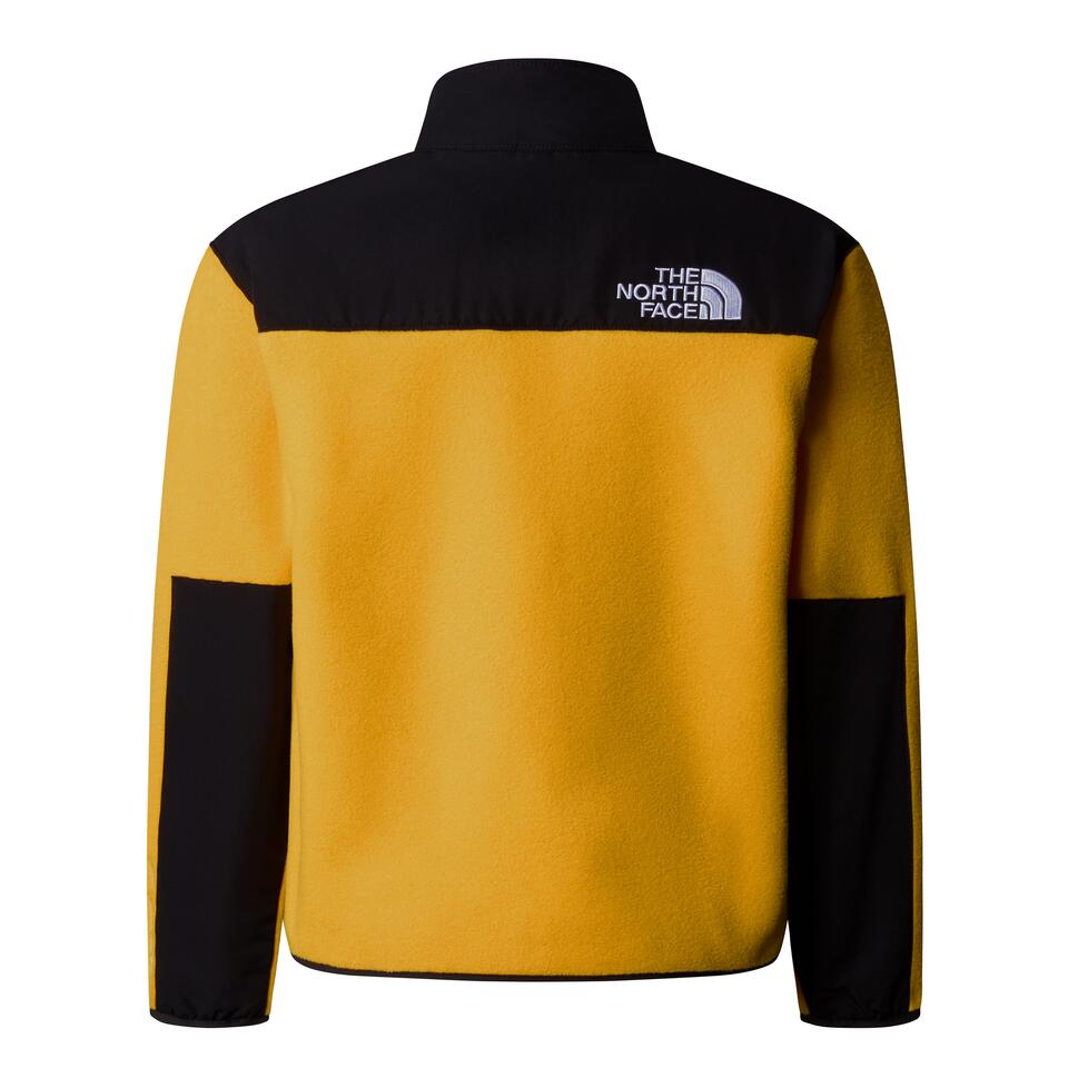 The North Face Polar Denali Nf0A88V256P