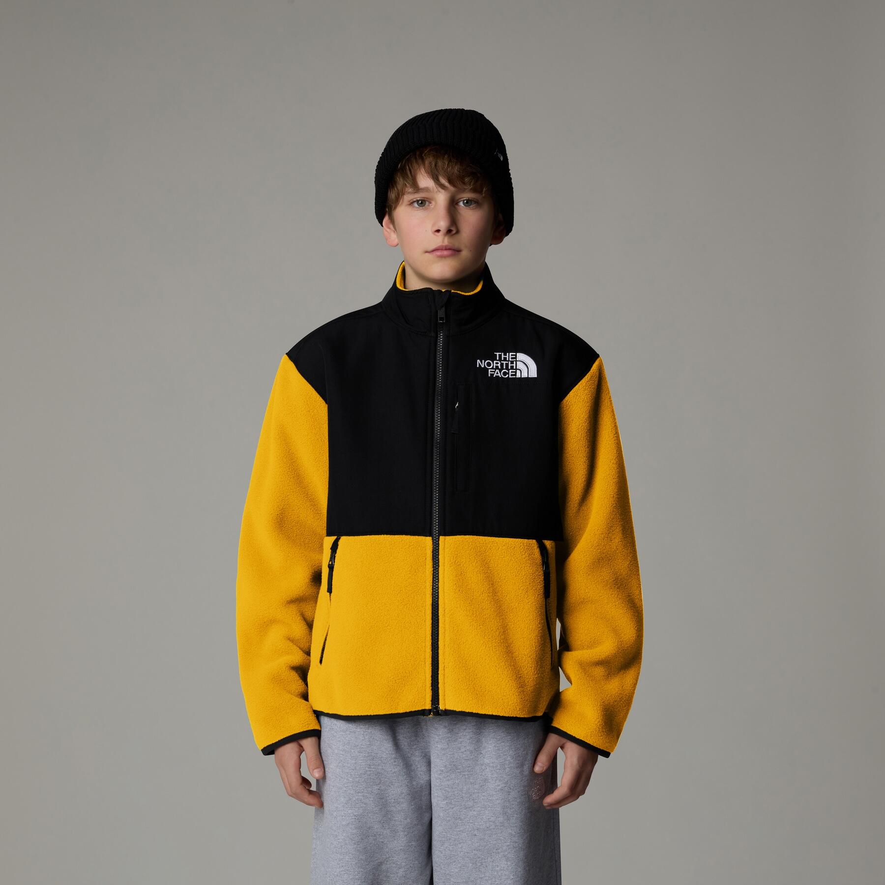 The North Face Polar Denali Nf0A88V256P 3/6