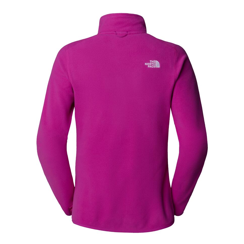 The North Face Polar 100 Glacier Fz Nf0A855O1I7