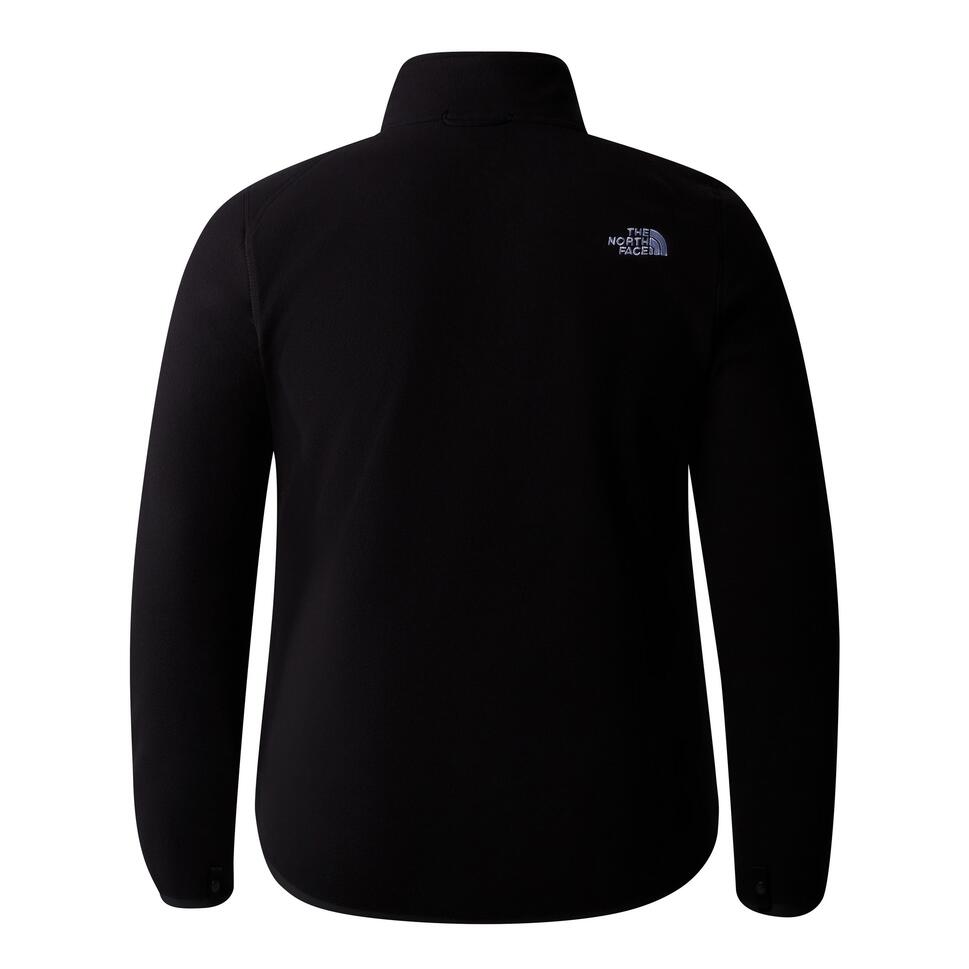 The North Face Polar Plus 100 Glacier Full Zip Nf0A856V4H0