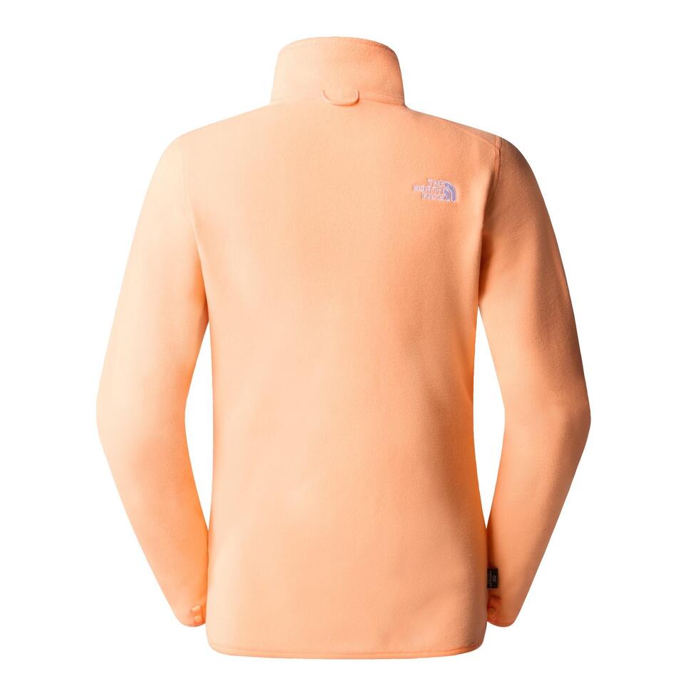 The North Face Polar 100 Glacier Fz Nf0A855Oo04