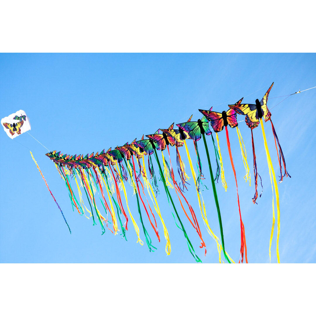 Cerf-volant pour enfants HQ Butterfly Kite Ruby L 6/6
