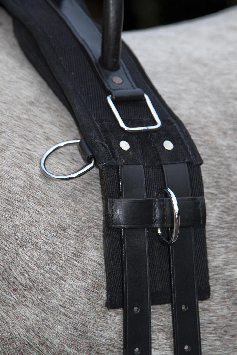 Paardensurfplank met handvat HKM Canvas 4/6