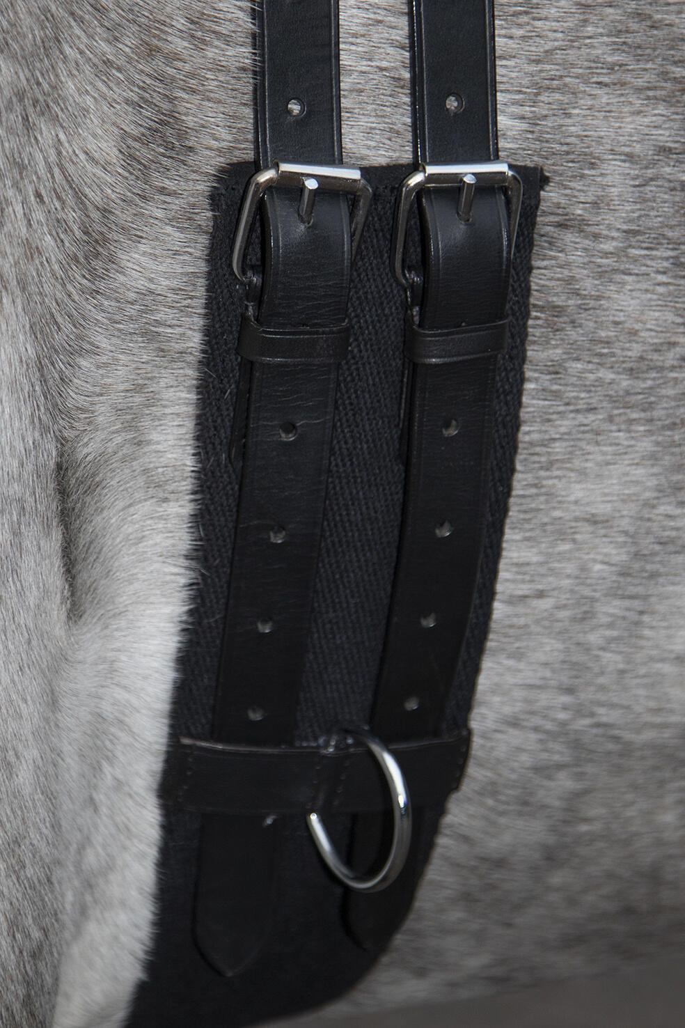 Paardensurfplank met handvat HKM Canvas 5/6