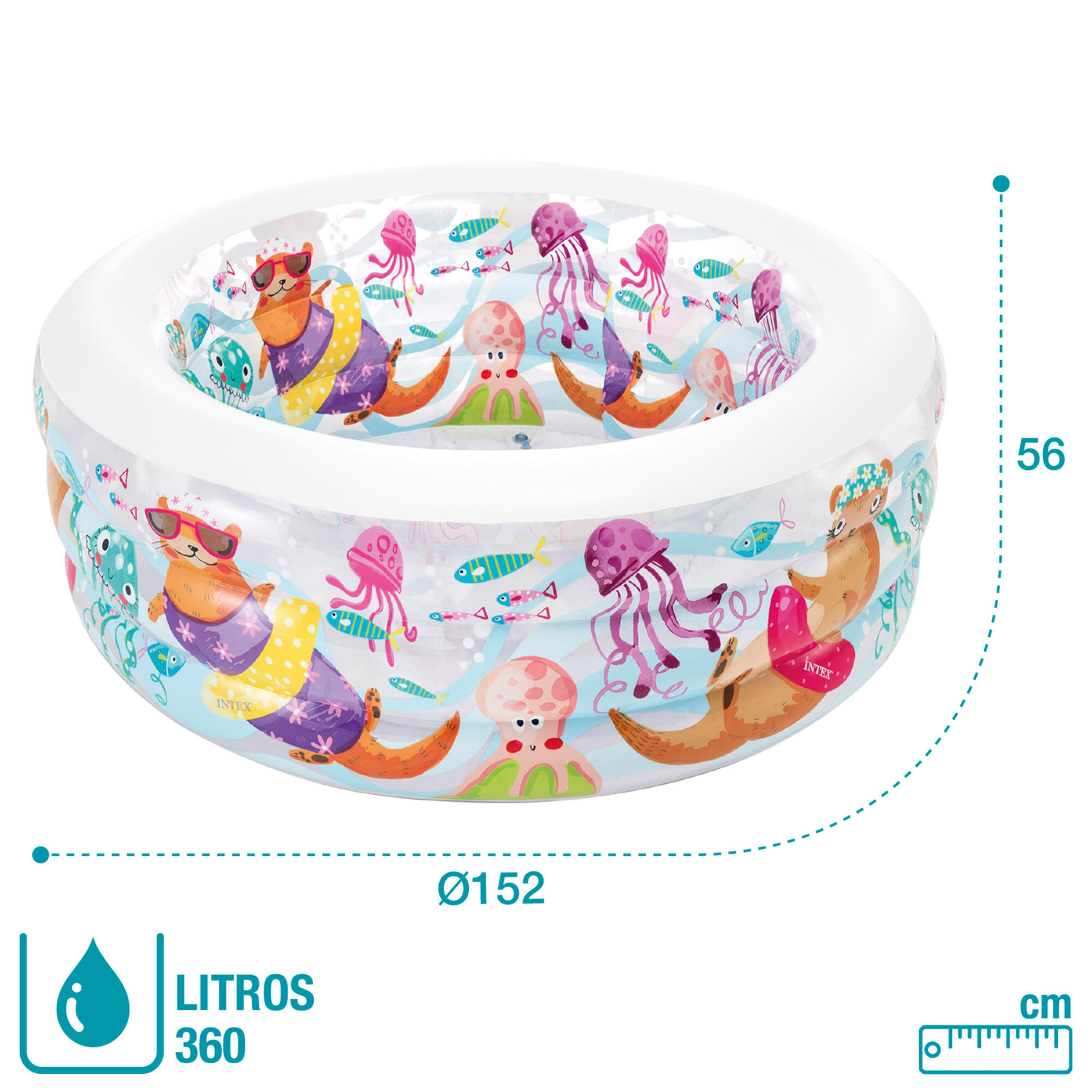 Piscina hinchable intex acuario 152x56cm - 360 litros 6/7