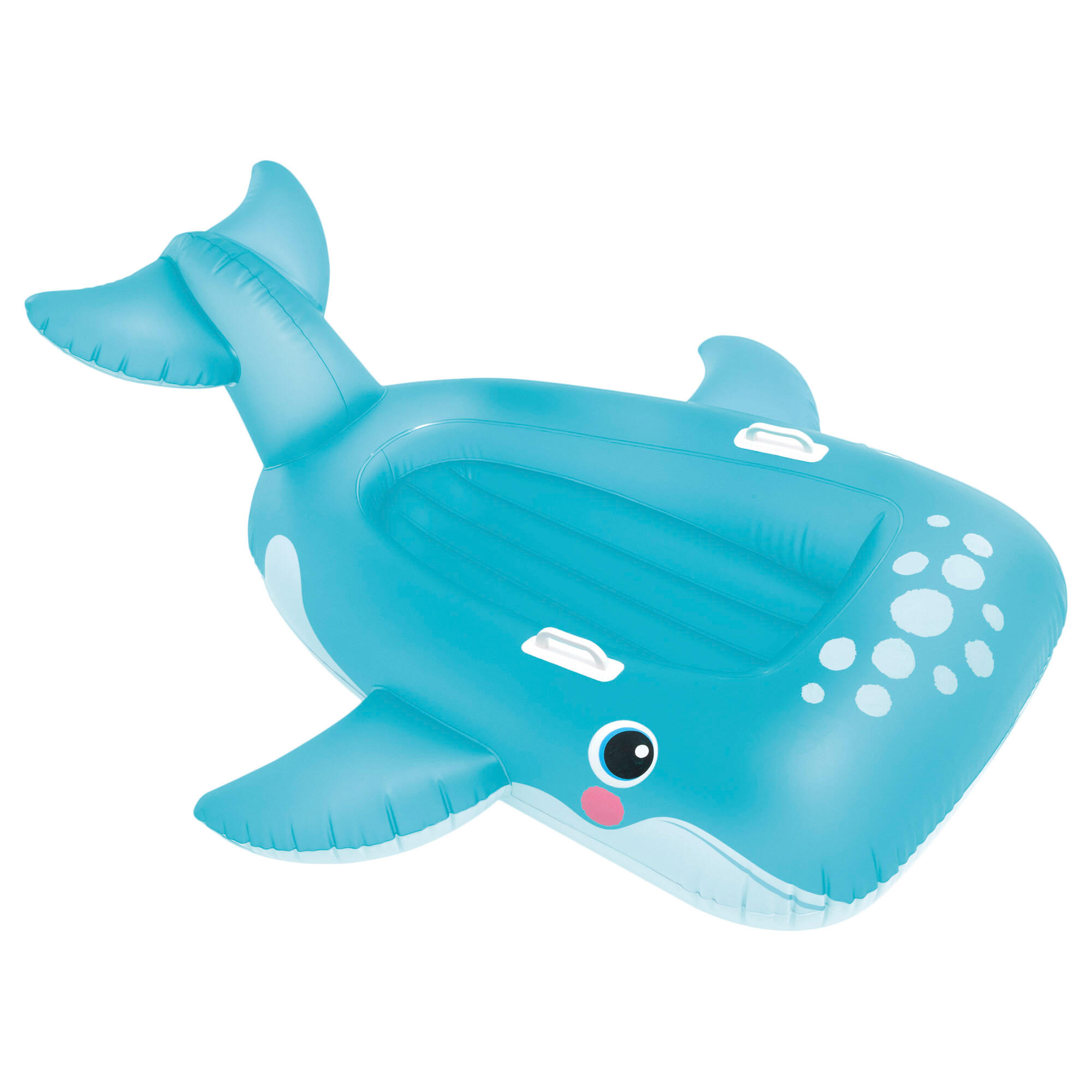 Blue Whale Ride on 6/7