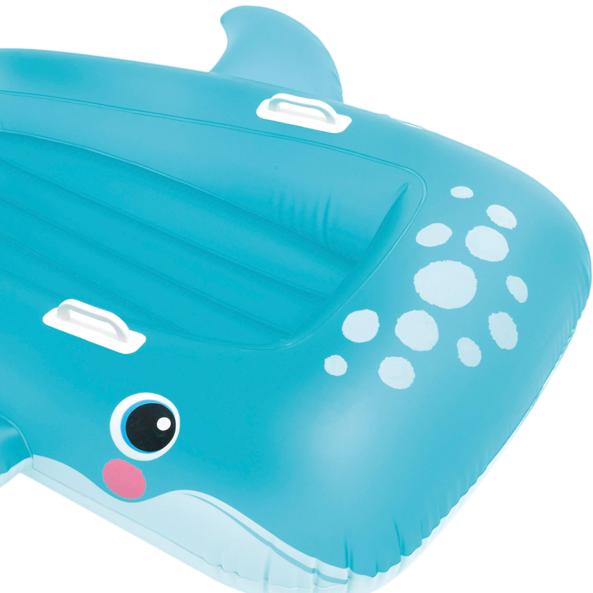 Blue Whale Ride on 3/7