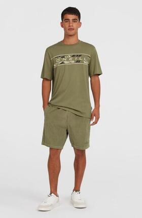 O'NEILL O'neill Shorts O'NEILL CORD SHORTS Hommes Avery Fern
