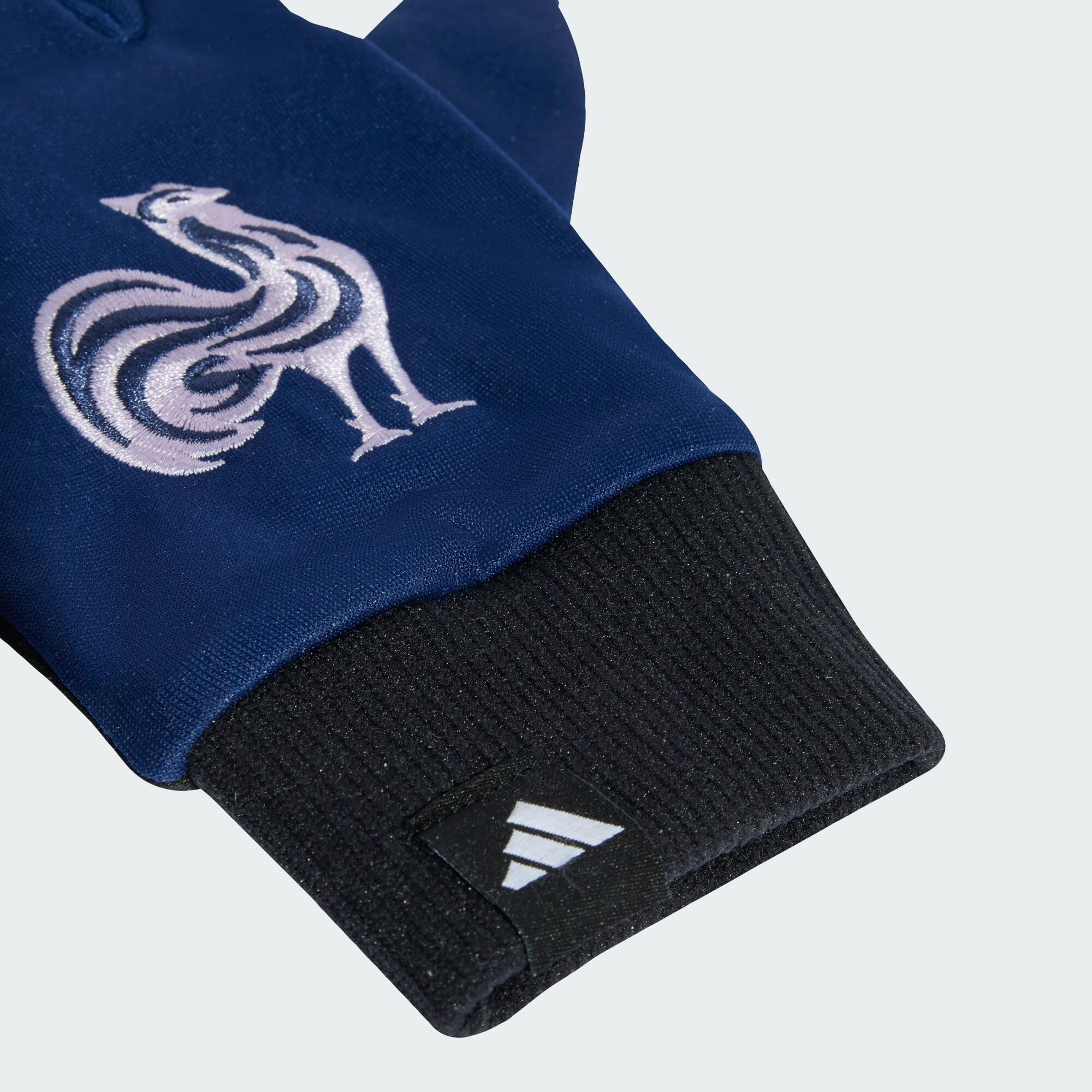 Frankreich Feldspieler-Handschuhe 2/4