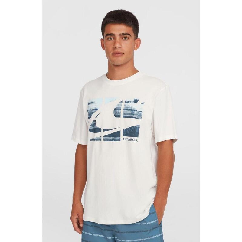 15ce8e53-6c12-4062-9d88-d324a1c6ddb9_c4