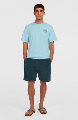 O'neill o'neill shorts o'neill cord shorts heren alma steel