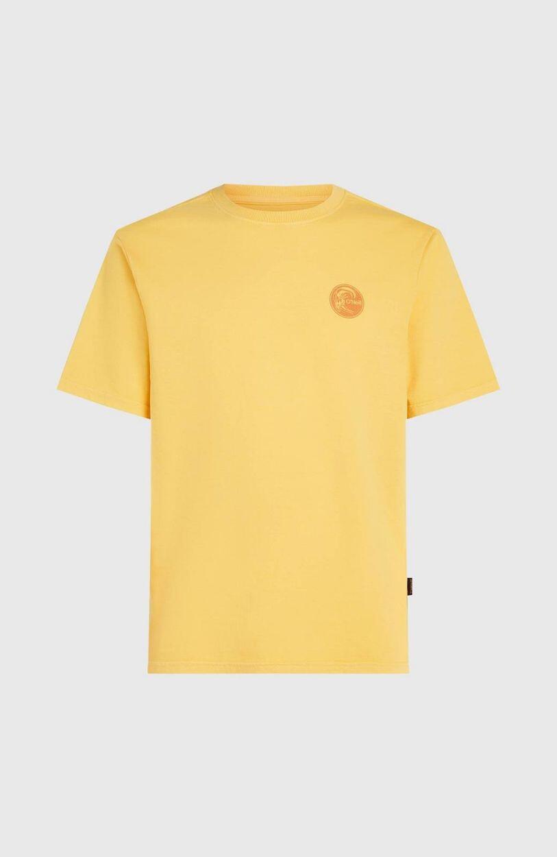 T-shirt O'Neill O'riginals Vintage Graphic 5/5