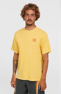 O'neill o'neill t-shirts o'riginals vintage graphic t-shirt heren golden haze
