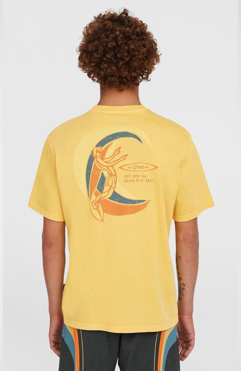 O'NEILL O'neill T-Shirts O'RIGINALS VINTAGE GRAPHIC T-SHIRT HEREN Golden Haze 3/5