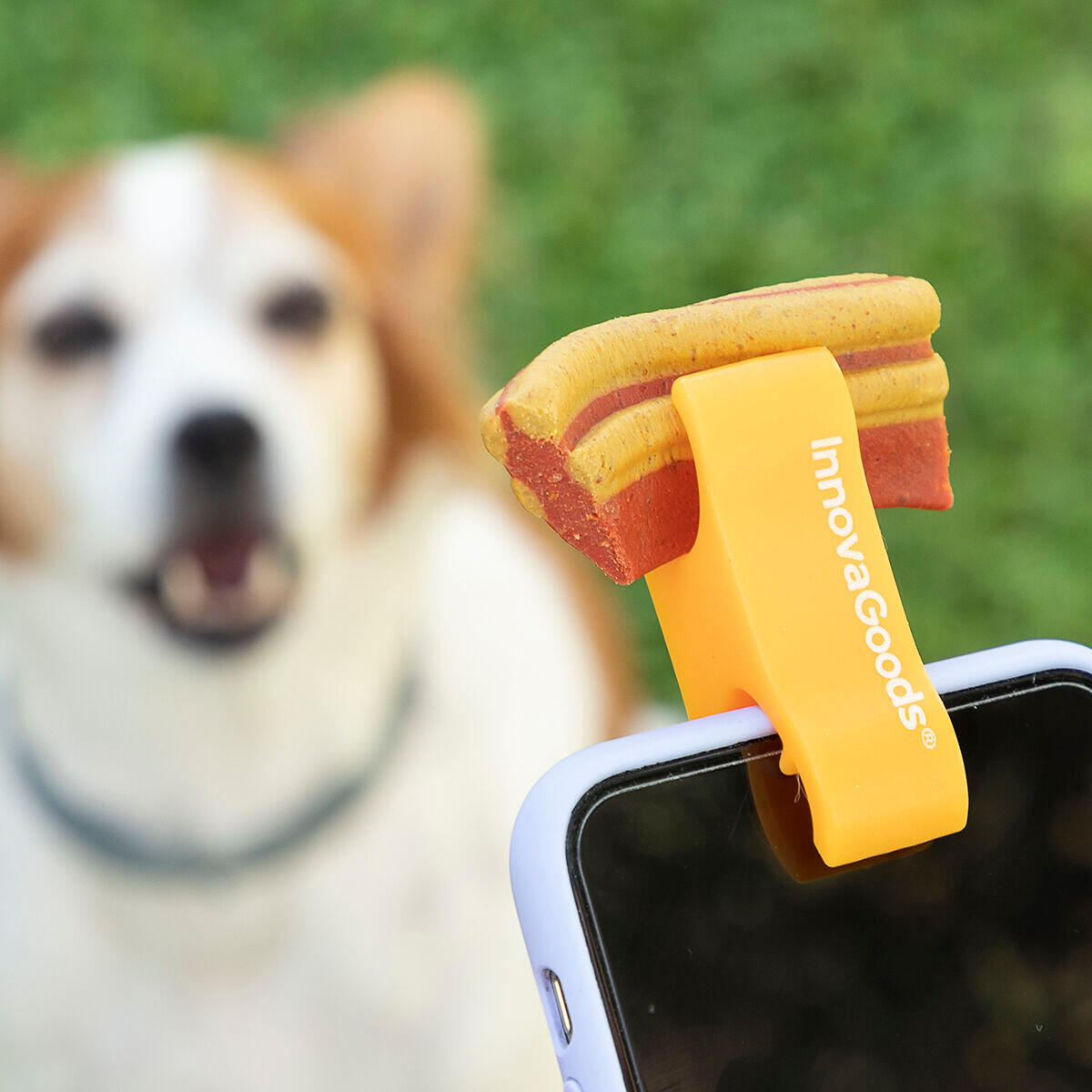Clip pour Selfies pour Animaux Familiers InnovaGoods Silicone 4/5