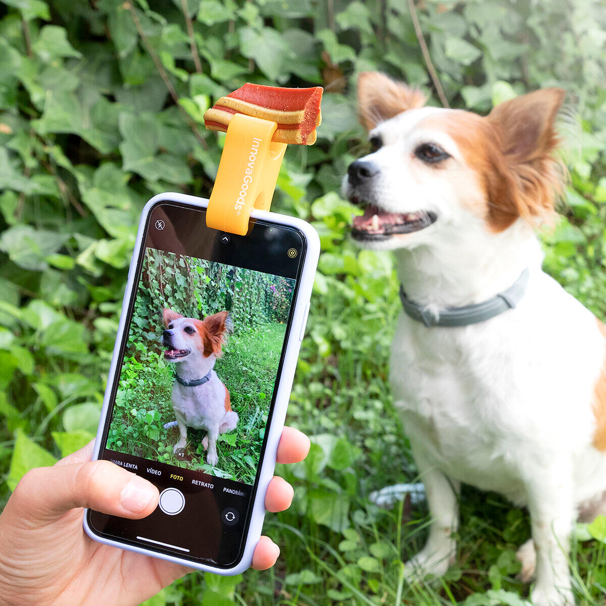 Clip pour Selfies pour Animaux Familiers InnovaGoods Silicone 2/5