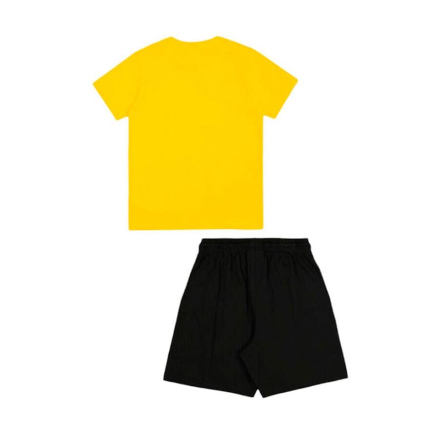 SET COL YS011 2/4