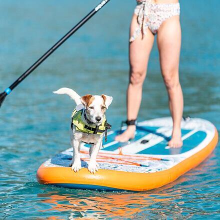 SUP Aqua Marina Pure Air 10'2'' Blue - SUP Gonfiabile 5/7