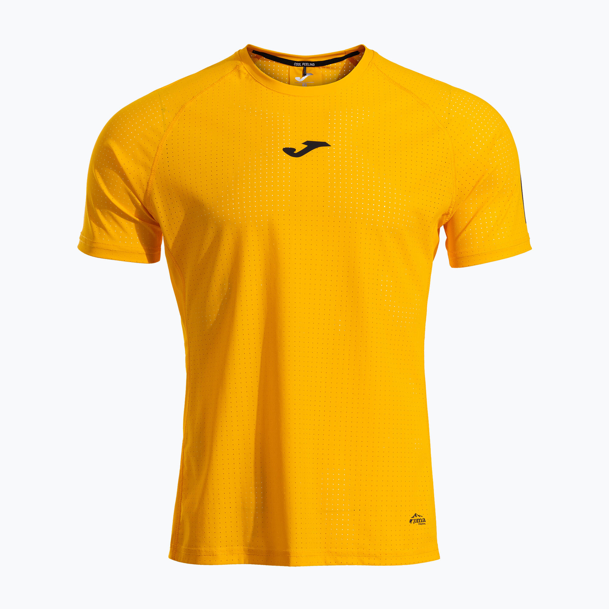 JOMA picture