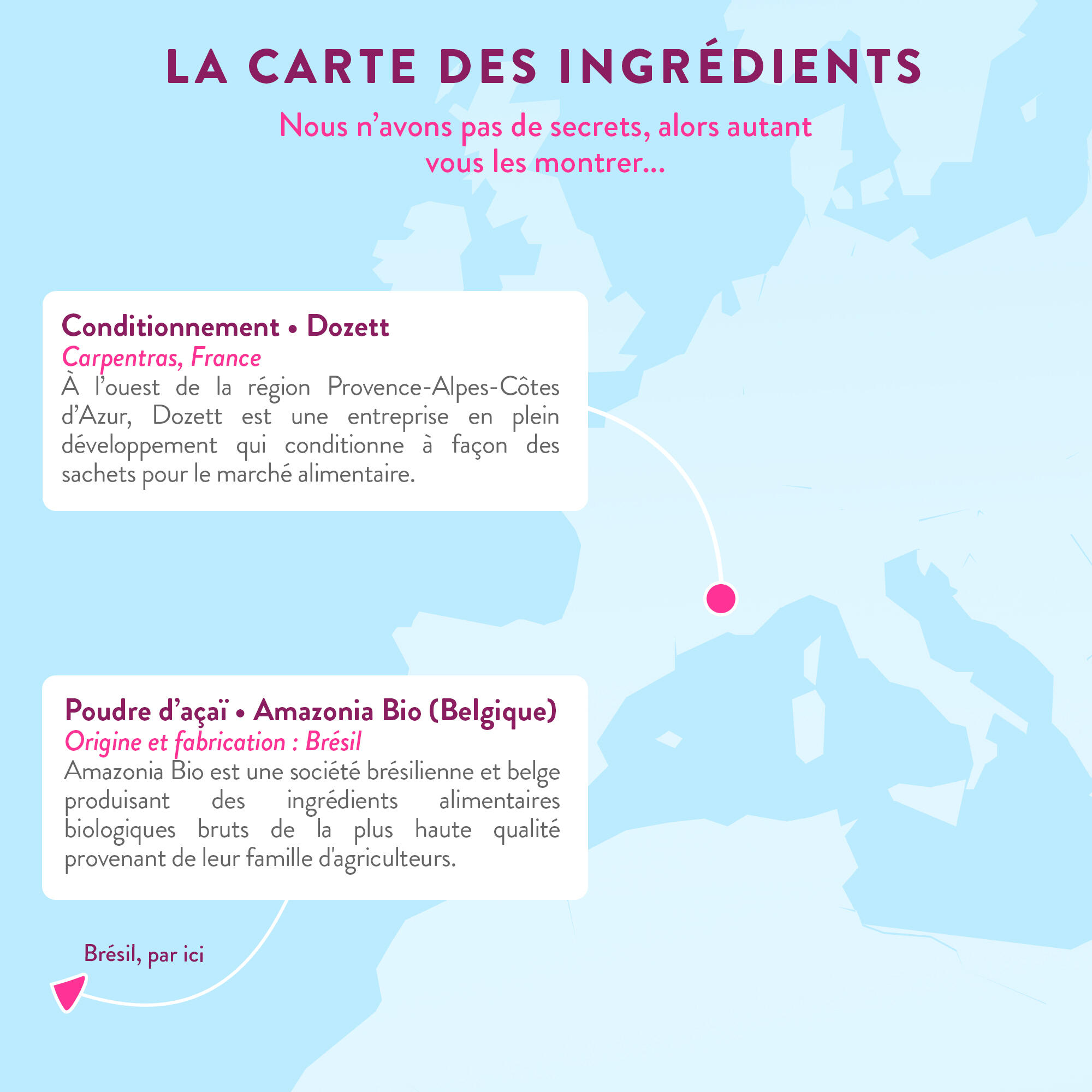 Poudre d'Acai BIO - 100g 3/3