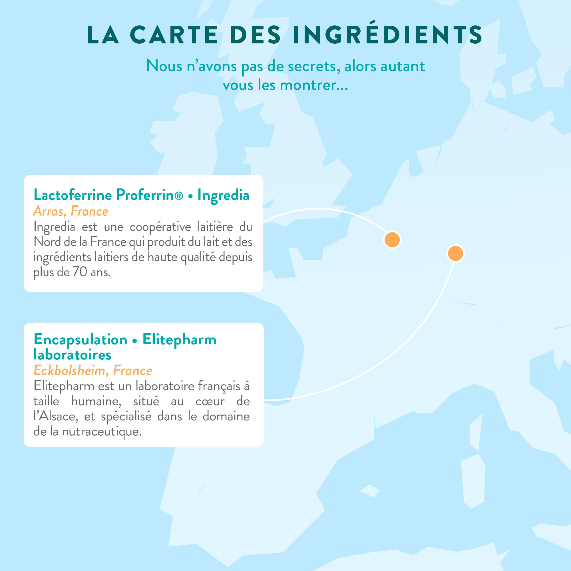 Lactoferrine - 60 gélules 4/4