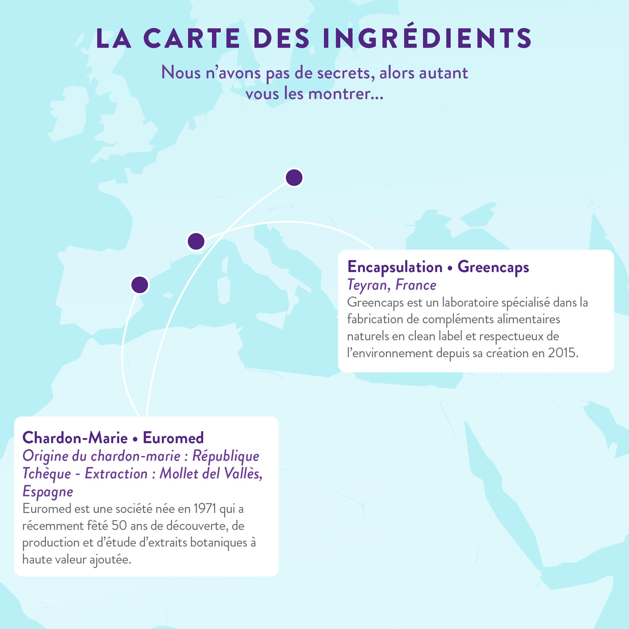 Le Détox - Chardon-marie + Artichaut - Détox Foie & Drainage - 60 gélules 3/5